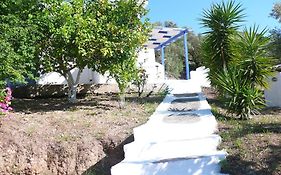 Stefanos Garden