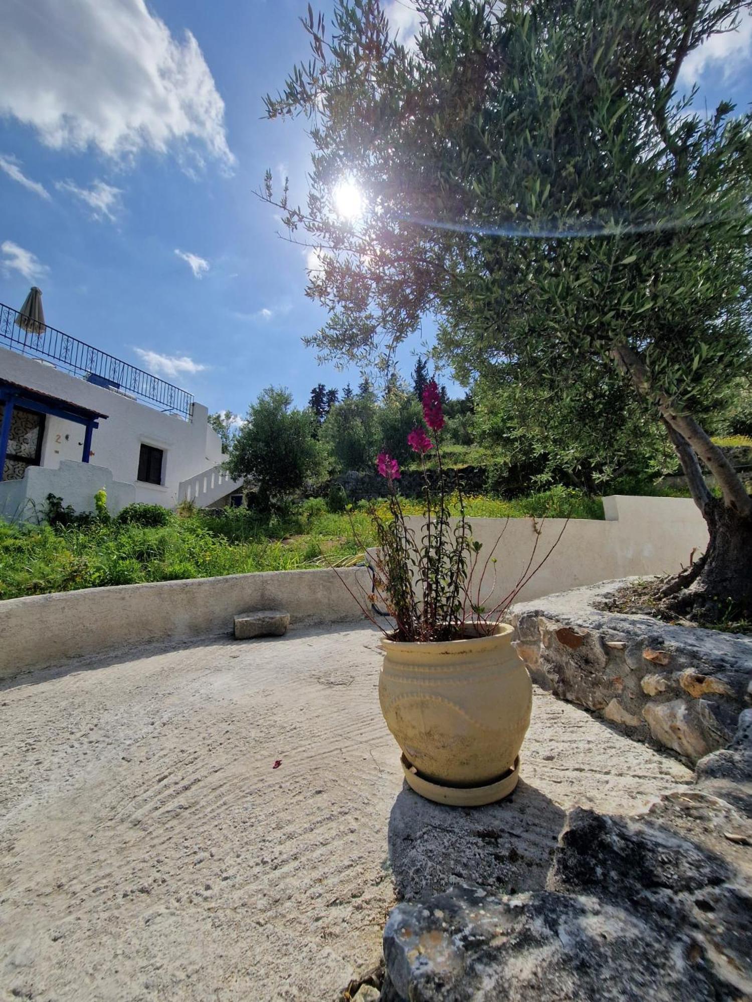 Ferienwohnung Stefanos Garden Arménoi Exterior foto