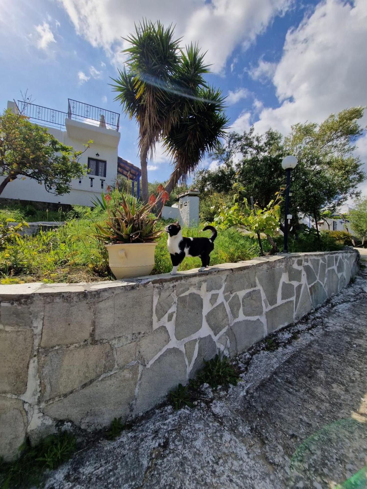 Ferienwohnung Stefanos Garden Arménoi Exterior foto