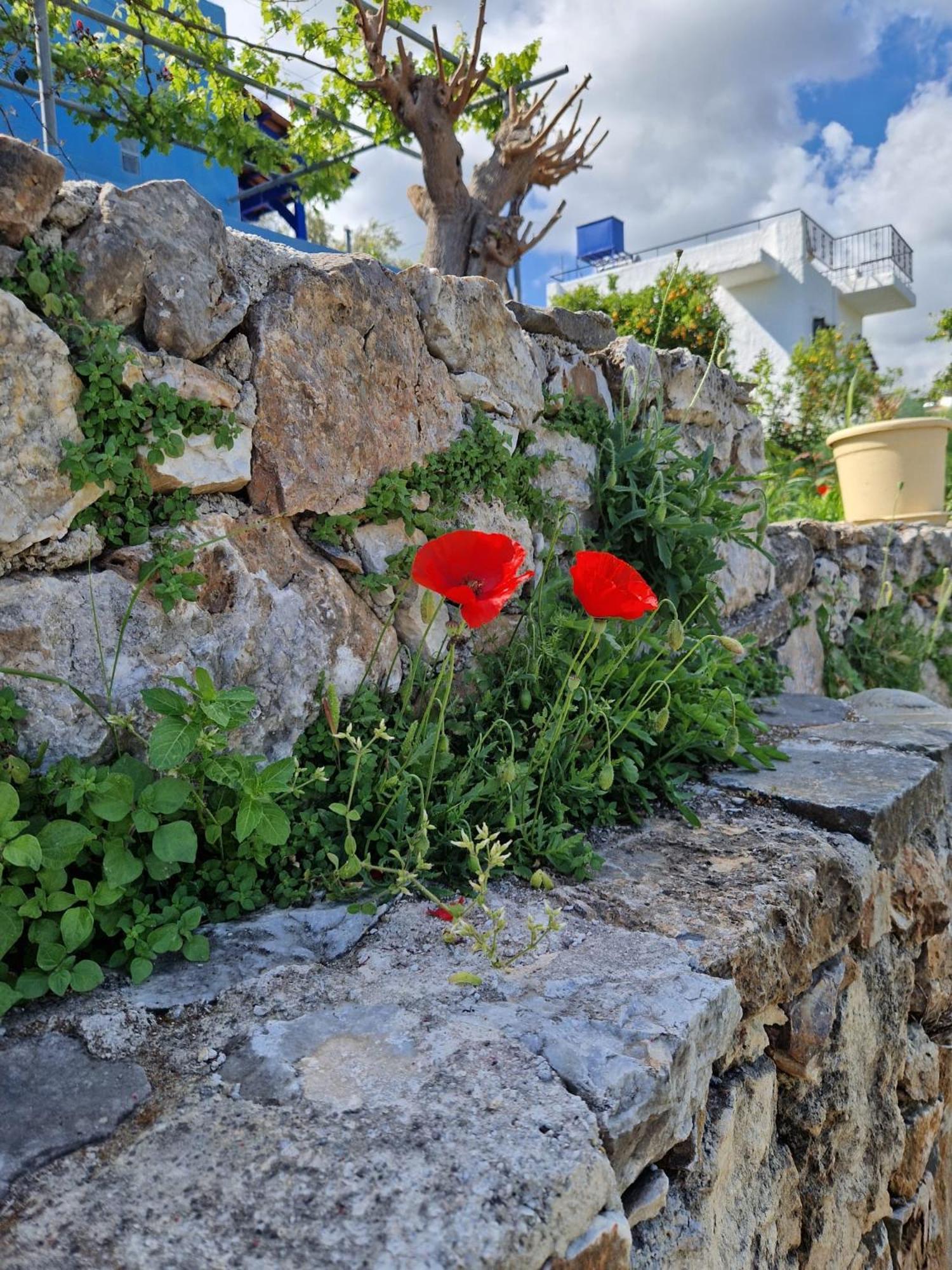 Ferienwohnung Stefanos Garden Arménoi Exterior foto
